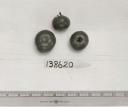 Click for 1 image(s) for this accession. FRUIT